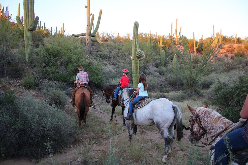 All around trail, Living in Tucson Arizona, Tucson Arizona, Moving to Tucson Arizona