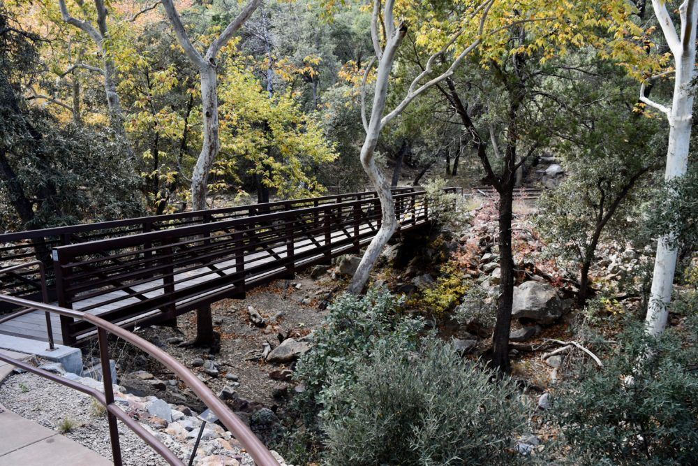 Madera canyon, Living in Tucson Arizona, Tucson Arizona, Moving to Tucson Arizona