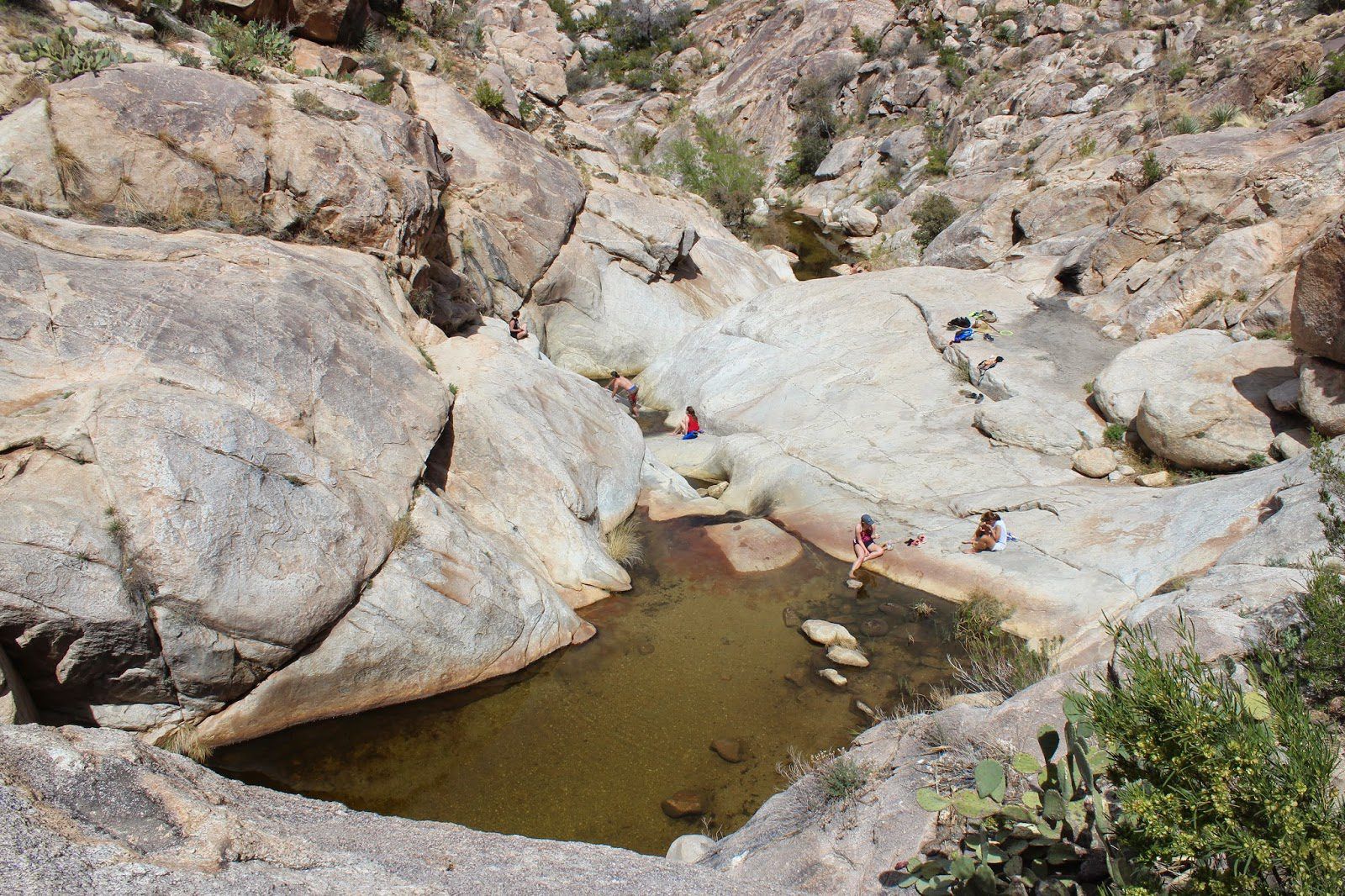 Romero Pools, Living in Tucson Arizona, Tucson Arizona, Moving to Tucson Arizona