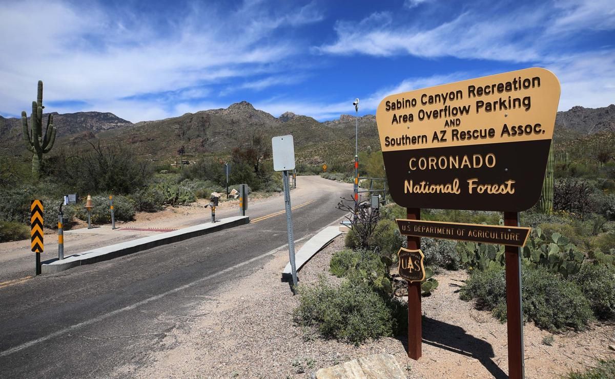 Sabino Canyon, Living in Tucson Arizona, Tucson Arizona, Moving to Tucson Arizona