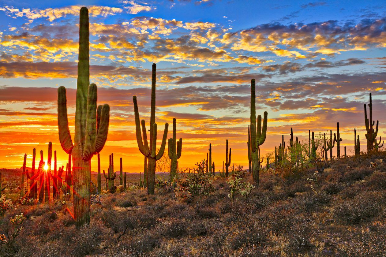 Summertime heat in Tucson desert, Living in Tucson Arizona, Tucson Arizona, Moving to Tucson Arizona