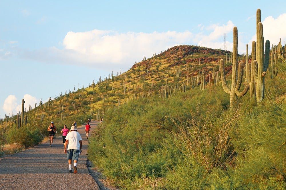 Tumamoc Hill, Living in Tucson Arizona, Tucson Arizona, Moving to Tucson Arizona