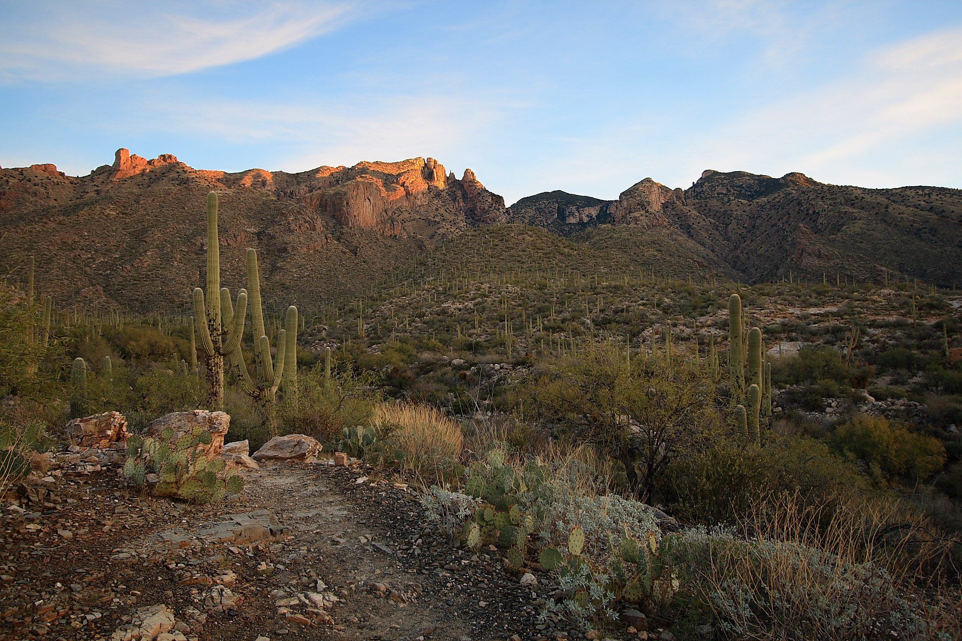 finger rock, Living in Tucson Arizona, Tucson Arizona, Moving to Tucson Arizona