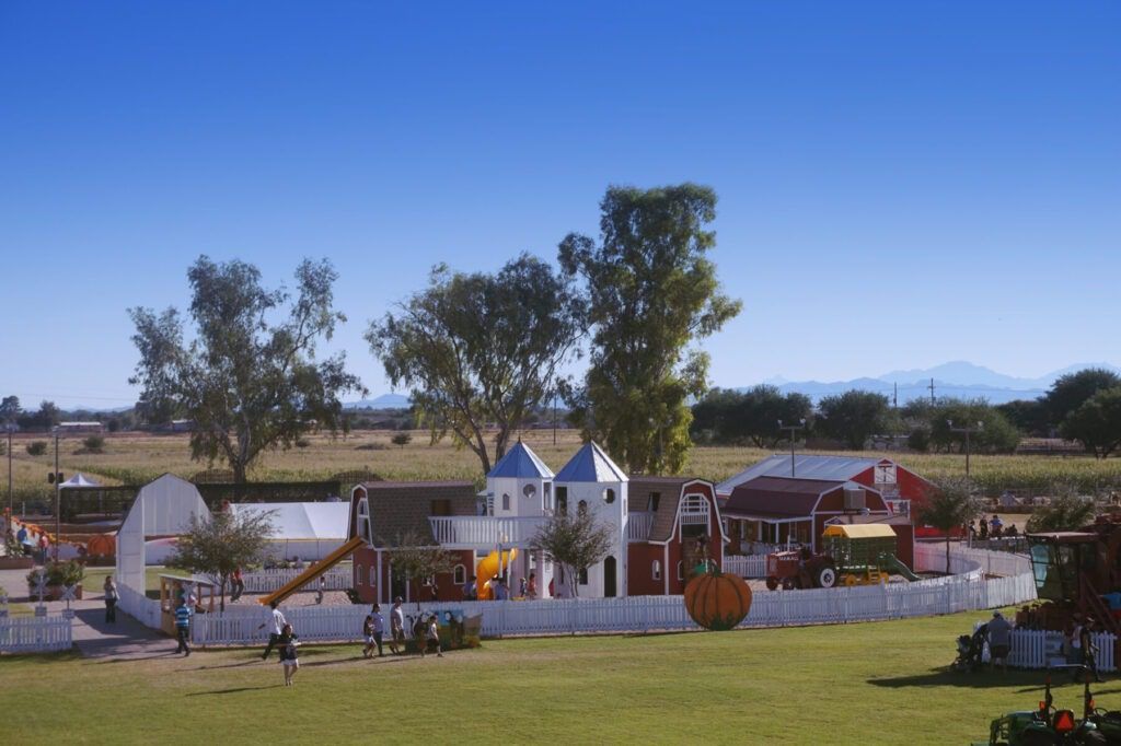 Marana Pumpkin Patch, Living in Tucson Arizona, Tucson Arizona, Moving to Tucson Arizona