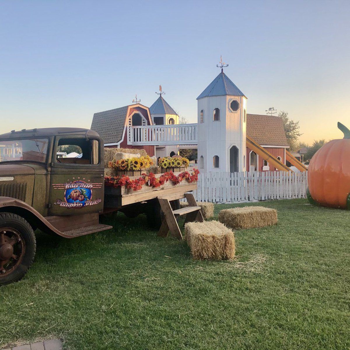 Marana pumpkin patch, Living in Tucson Arizona, Tucson Arizona, Moving to Tucson Arizona