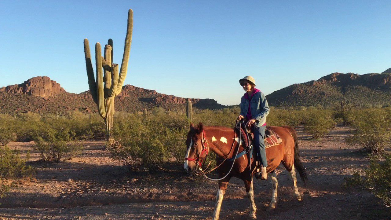 Tucson mountain stables, Living in Tucson Arizona, Tucson Arizona, Moving to Tucson Arizona